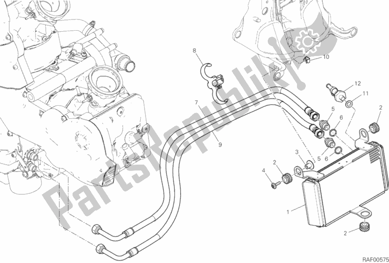 Todas as partes de Radiador De óleo do Ducati Multistrada 950 Touring 2017